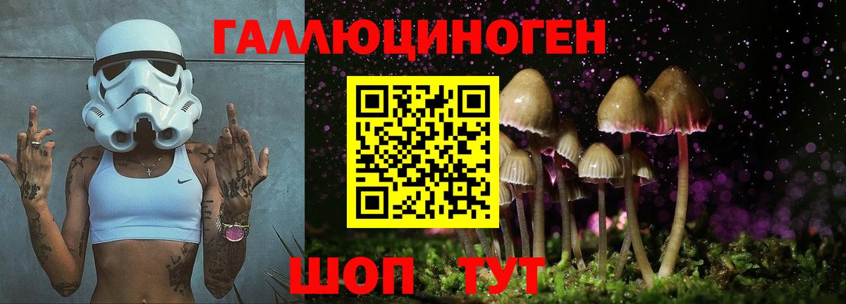Псилоцибиновые грибы MAGIC MUSHROOMS Назарово