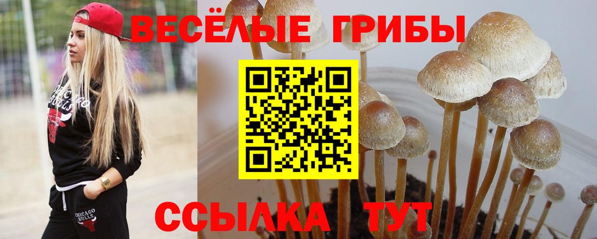 Псилоцибиновые грибы MAGIC MUSHROOMS  Вход с VPN  Галлюциногенные грибы мицелий  Назарово 